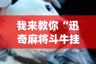 我来教你“迅奇麻将斗牛挂安装”(其实是有挂)