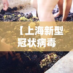 【上海新型冠状病毒 → 上海 新型冠状病毒】