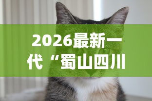 2026最新一代“蜀山四川麻将怎么设置都是赢”(曝光透视必备猫腻)