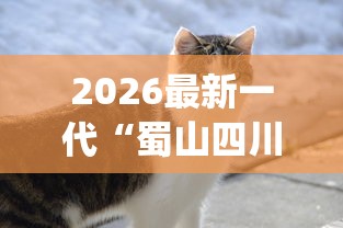 2026最新一代“蜀山四川麻将怎么设置都是赢	”(曝光透视必备猫腻)