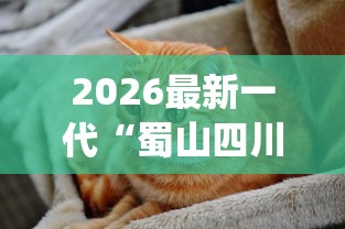 2026最新一代“蜀山四川麻将怎么设置都是赢”(曝光透视必备猫腻)