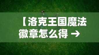 【洛克王国魔法徽章怎么得 → 洛克王国魔法装扮图鉴】
