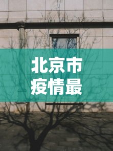 北京市疫情最新动态