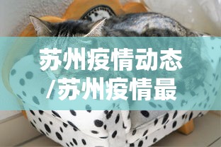 苏州疫情动态/苏州疫情最新通知 苏州疫情动态/苏州疫情最新通知