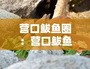 营口鲅鱼圈：营口鲅鱼圈地图