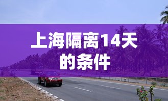 上海隔离14天的条件