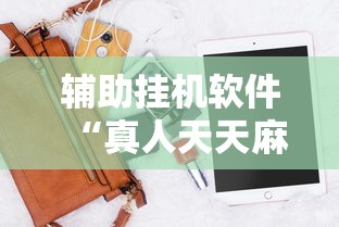 辅助挂机软件“真人天天麻将开挂神器下载安装”-开挂神器-包教包会