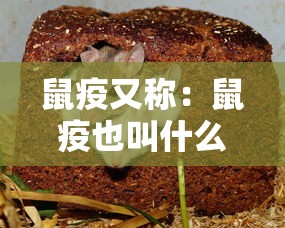 软件分享:怎么买手机麻将挂”开挂(透视)辅助教程
