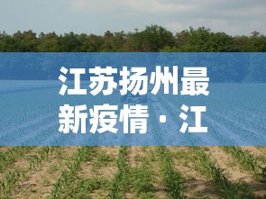 江苏扬州最新疫情 · 江苏扬州疫情最新2020今天