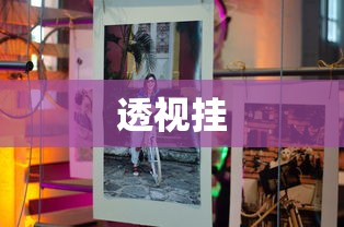 透视挂