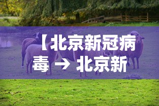 【北京新冠病毒 → 北京新冠病毒第一例】