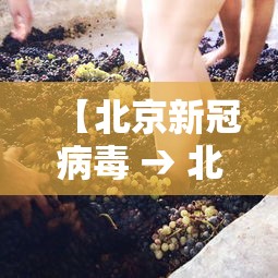【北京新冠病毒 → 北京新冠病毒第一例】 【北京新冠病毒 → 北京新冠病毒第一例】