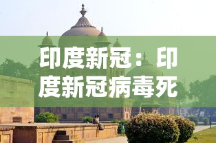 印度新冠：印度新冠病毒死亡人数是多少