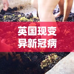 英国现变异新冠病毒（英国又现变异新冠病毒）
