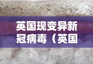 英国现变异新冠病毒（英国又现变异新冠病毒）