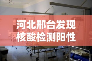 河北邢台发现核酸检测阳性患者：邢台检出阳性259人