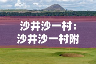 沙井沙一村:沙井沙一村附近有什么工厂