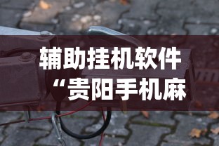 辅助挂机软件“贵阳手机麻将微乐开挂器”(必备工具)辅助教学
