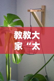 教教大家“太阳大厅有没有挂”分享用挂教程