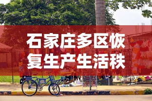 石家庄多区恢复生产生活秩序：石家庄全面恢复正常生产生活秩序