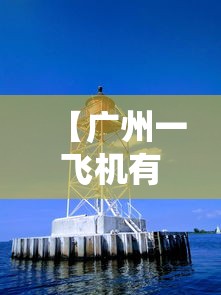 【广州一飞机有27人感染 → 广州一航班确诊新冠病例】