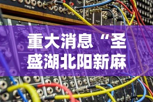 重大消息“圣盛湖北阳新麻将有挂吗”真实开挂技巧分享