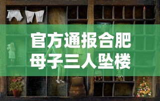 官方通报合肥母子三人坠楼身亡/合肥母子三人昨日坠楼身亡