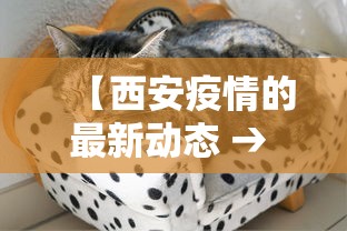 【西安疫情的最新动态 → 西安疫情最新消息实时更新】 【西安疫情的最新动态 → 西安疫情最新消息实时更新】