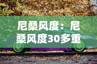 尼桑风度：尼桑风度30多重