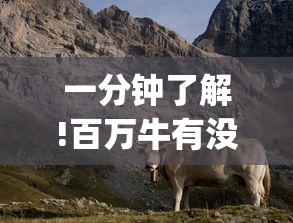 一分钟了解!百万牛有没有挂[真的有挂]