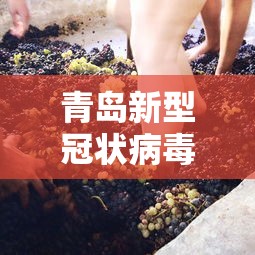 青岛新型冠状病毒/青岛 新冠