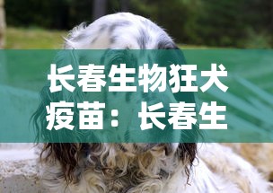 长春生物狂犬疫苗:长春生物狂犬疫苗打几针