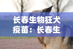 长春生物狂犬疫苗:长春生物狂犬疫苗打几针 长春生物狂犬疫苗:长春生物狂犬疫苗打几针