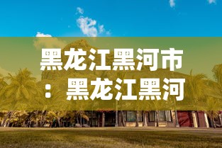 黑龙江黑河市:黑龙江黑河市有机场吗