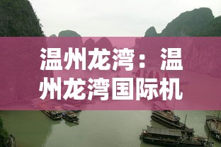 温州龙湾:温州龙湾国际机场
