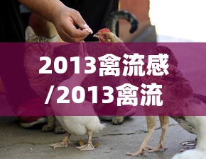 2013禽流感/2013禽流感症状 2013禽流感/2013禽流感症状