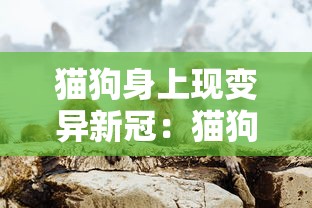 猫狗身上现变异新冠:猫狗新冠病毒会传染人类吗