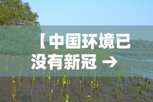 【中国环境已没有新冠 → 中国已经没有新冠了】 【中国环境已没有新冠 → 中国已经没有新冠了】