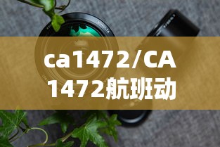 ca1472/CA1472航班动态 ca1472/CA1472航班动态