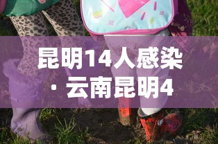 昆明14人感染 · 云南昆明40例 昆明14人感染 · 云南昆明40例