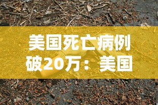 美国死亡病例破20万：美国病例死亡人数