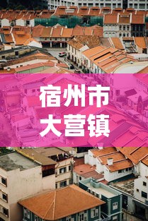 宿州市大营镇疫情：安徽宿州大营
