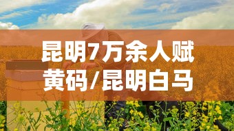 昆明7万余人赋黄码/昆明白马小区黄码