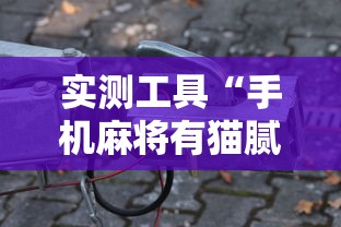 实测工具“手机麻将有猫腻吗”必胜开挂神器
