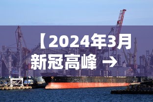 【2024年3月新冠高峰 → 2021年3月24日新冠】