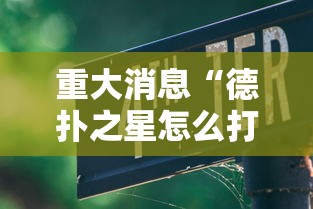 重大消息“德扑之星怎么打才赢”分享必要外挂教程