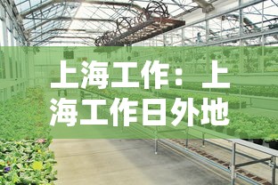 上海工作：上海工作日外地牌照限行时间和范围