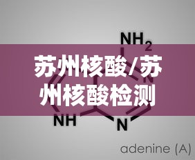 苏州核酸/苏州核酸检测