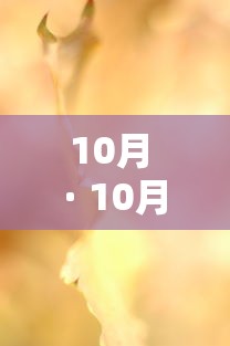 10月 · 10月26日是什么星座