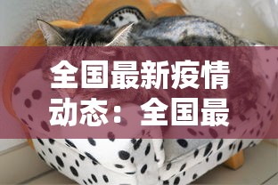 全国最新疫情动态:全国最新疫情情况通报 全国最新疫情动态:全国最新疫情情况通报